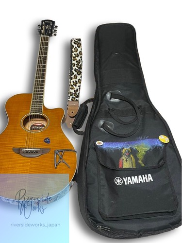 Yamaha apx600 electro acoustic - yamaha,