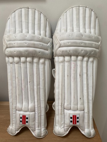 Gray nicholls alpha - gray,