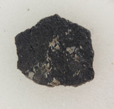 Hadrosaur Egg Shell Fossil -