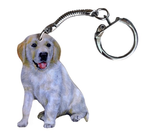 Golden retriever puppy - retriever,