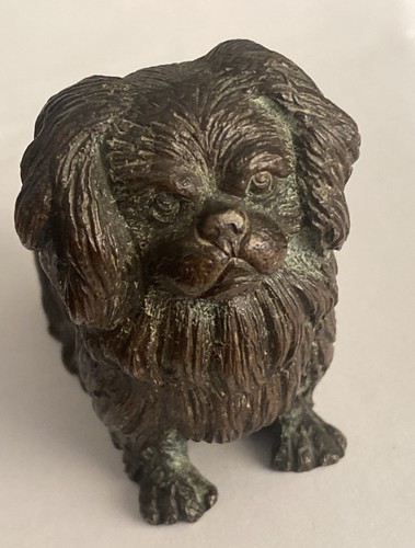 Bronze tibetan spaniel - bronze,