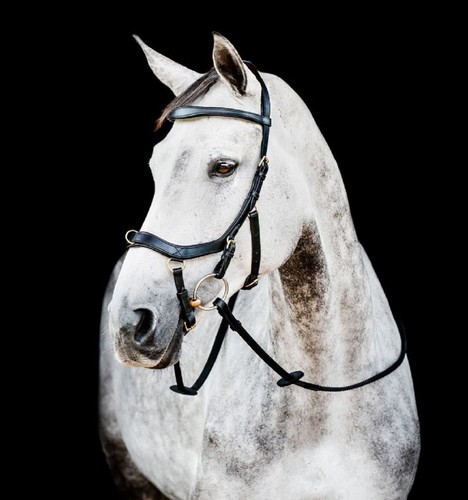 Horseware micklem 2 multi - 2,