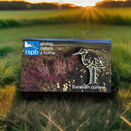 Rspb pin badge eurasian - badge,