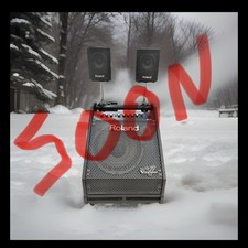 Roland PM-30 Personal Monitor