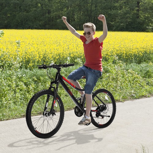 Inch mountain bike - mountain, speed