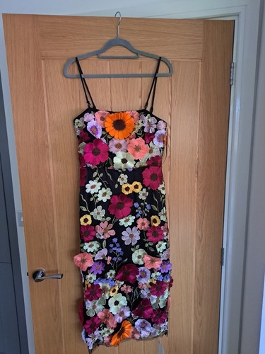 Coast flower black - coast,