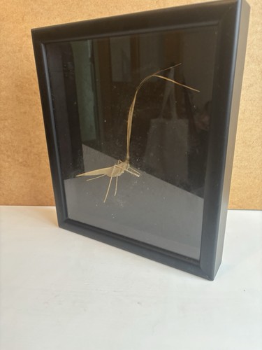 Framed handmade palm - framed,