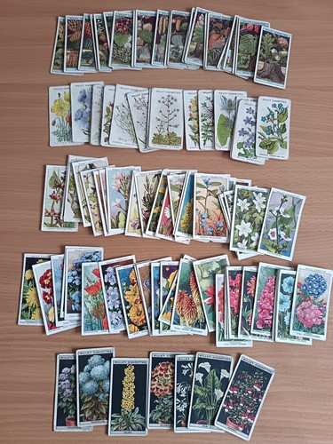 100 vintage flower cigarette - vintage,