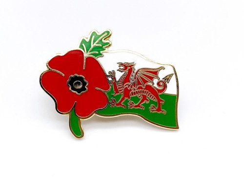 Wales welsh red - wales, poppies