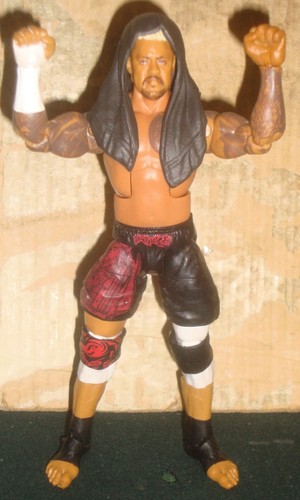 Wwe wrestling figure - wrestling,