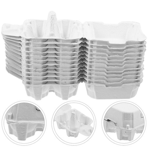Pcs paper pulp egg - 12,