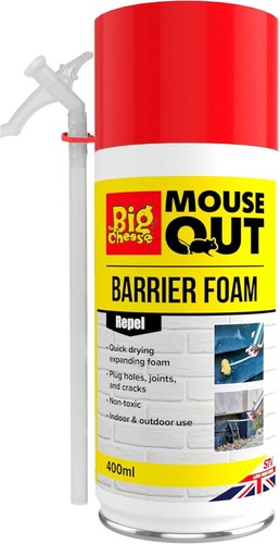 The big cheese - cheese, mouse