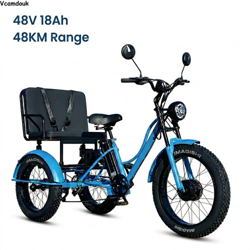 Electric tricycle fat bike - electric,