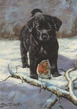 Black Labrador Puppy Dog Robin