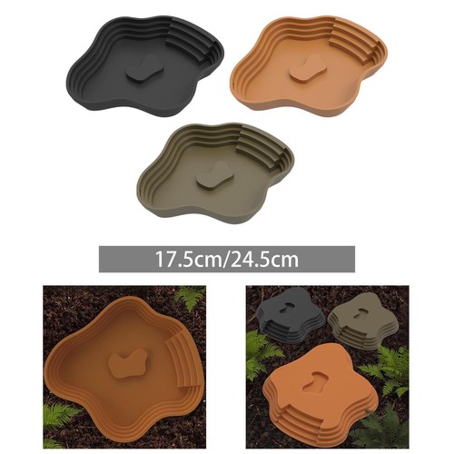 Reptile bathing pool tortoise - bathing,