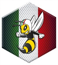 Emblem Badge Logo Cascade Front for Piaggio Vespa Hexagon PX,LX,ET,GTX,Zip,X8