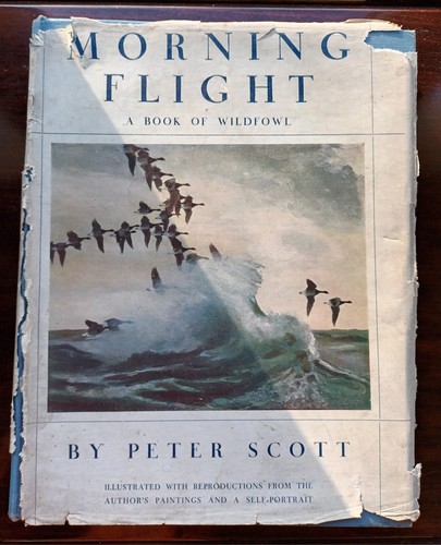 Morning flight book - flight,