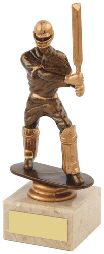 Cricket batsman trophy - batsman,
