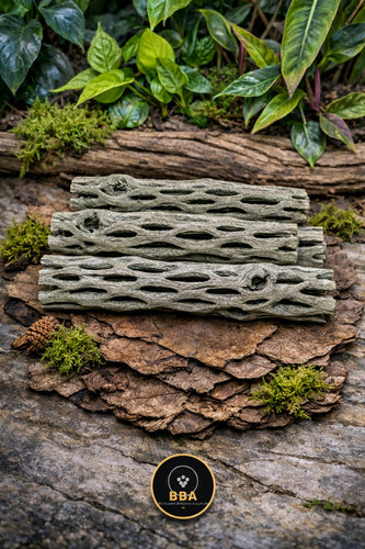 3pcs cholla cactus wood - 6",