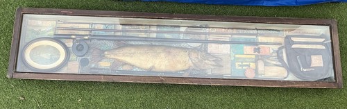 Antique cased fishing diorama - cased,