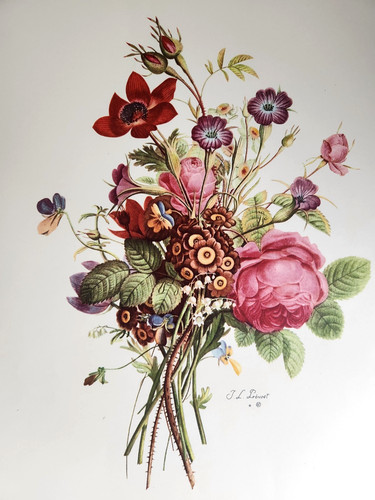 Jean louis prevost anemones - jean,