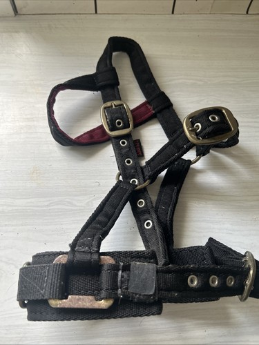 Lunging cavesson mini - lunging,