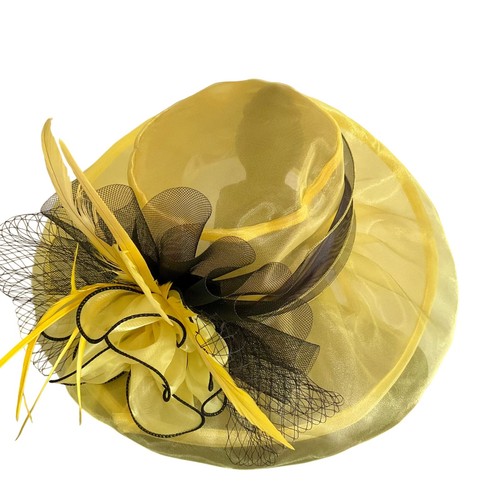 Yellow organza kentucky derby - kentucky,