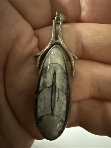 Vtg natural orthocoras fossil - vtg,