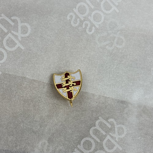 England lions enamel - enamel, pin