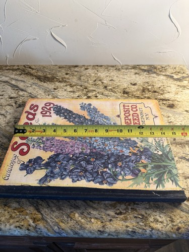 Vtg 1929 seed - vtg, catalogue