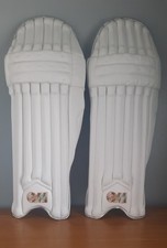 2026 rival 909 cricket - 2026, gm