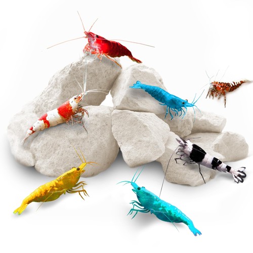 Shrimp rocks for crayfish - rocks,,