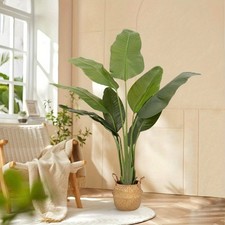 1.8m 6ft Fake Tropical Plant