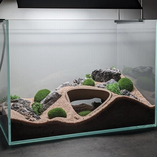 Aquarium underground cave - cave, fish