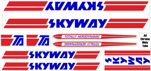 Skyway decal set for - -,