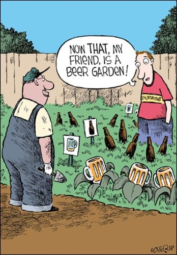 Funny birthday card beer - birthday,