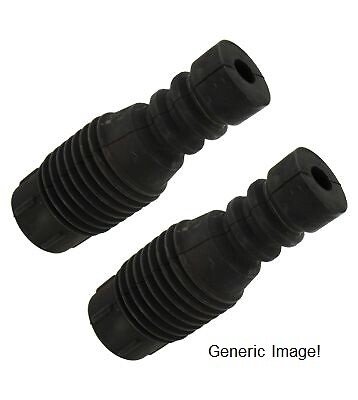 Damping shock absorber dust - damping,