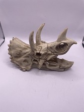 replica triceratops skull