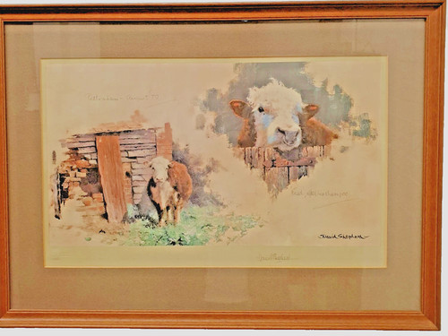 David shepherd signed - david, colour