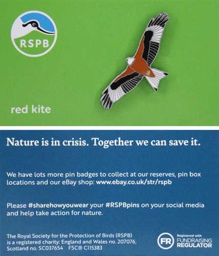Rspb pin badge niic - red, kite