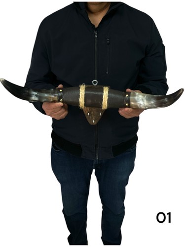 Small polished mounted horns - horns,