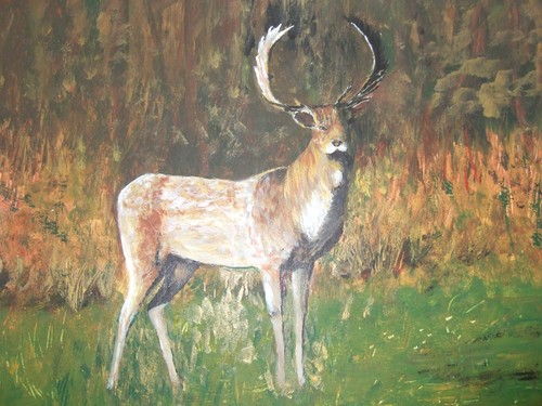 Painting the stag - my,