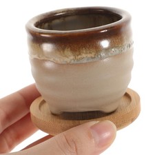  6pcs Polished Succulent Pot