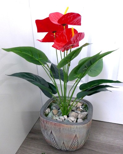 Height - 20",