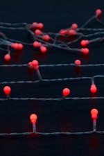 100 INDOOR OUTDOOR LED BERRY
