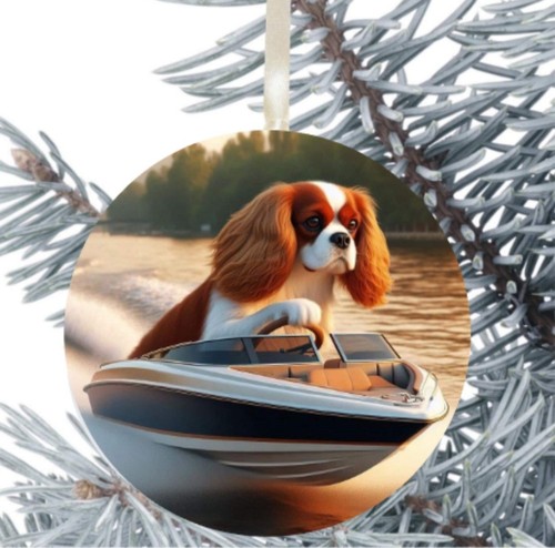 King charles cavalier - king,