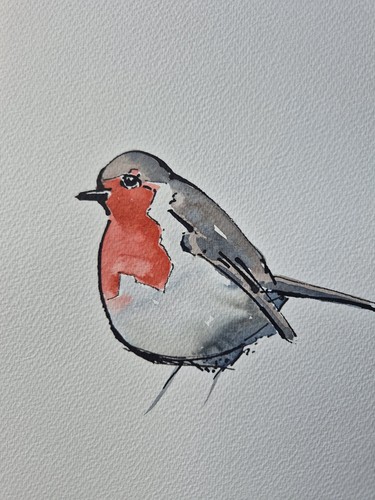 Robin ink watercolour - &,