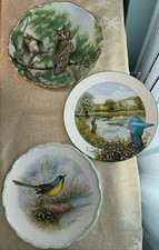 Miscellaneous Decorative Bird