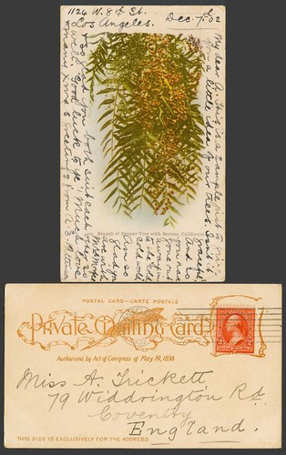 Usa 1902 old postcard - 2c, ub