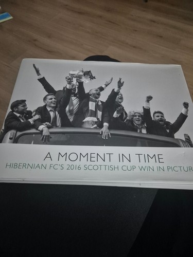 Hibernian scottish cup 2016 - hibernian,